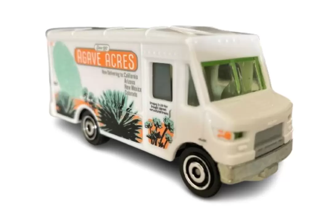Express Delivery