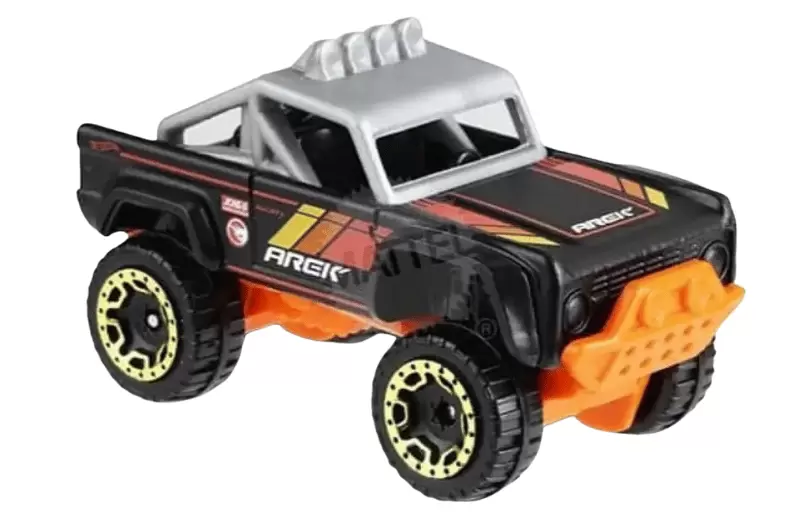 Custom Ford Bronco