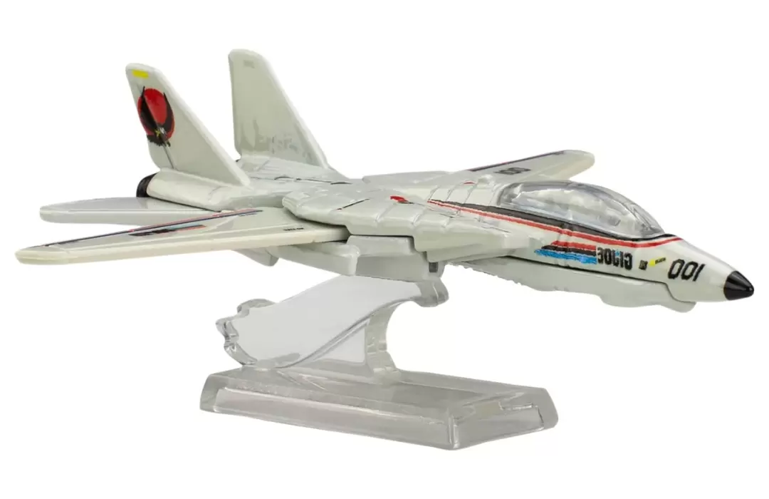Combat Jet Skystriker (Grumman F-14 Tomcat)
