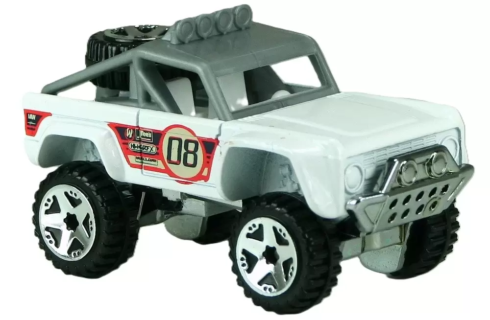 Custom Ford Bronco