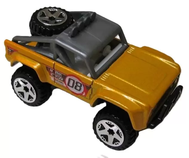 Custom Ford Bronco
