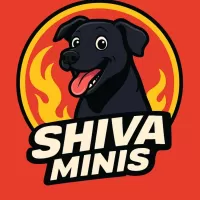 Avatar de lima23499
