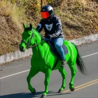 Avatar de MekkyTM